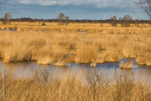 Internationaler Naturpark Bourtanger Moor-Bargerveen Moor in Niedersachsen/Niederlange