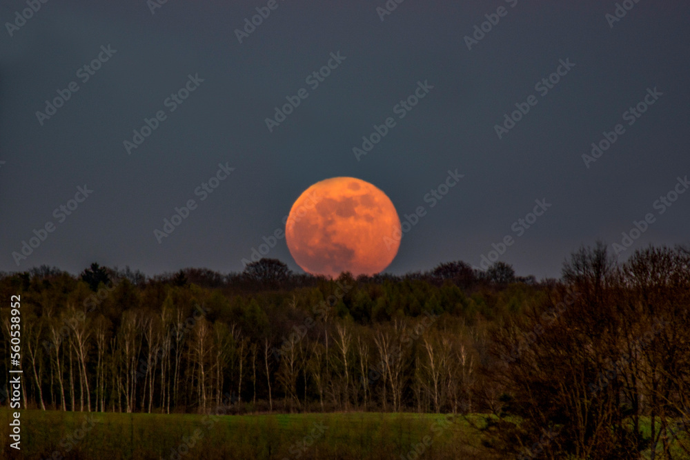 full moon over the forest full moon over the forest