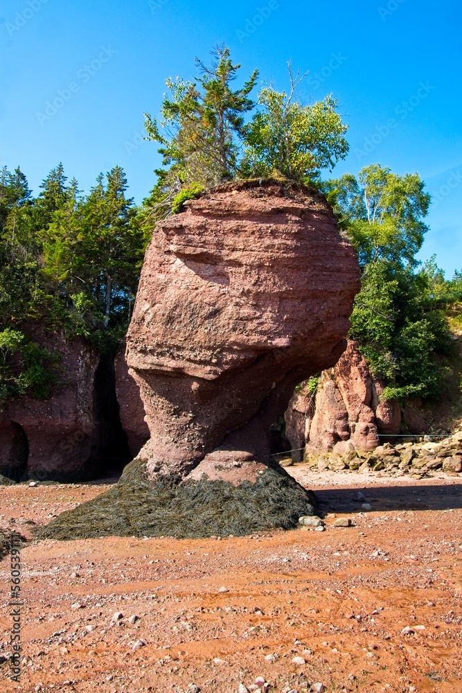 Hopewell Rocks on the Bay of Fundy Coast, New Brunswick.
