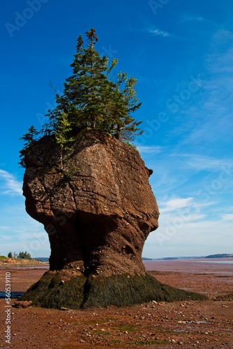 An oceanic formation found along the Bay of fundy coast at Hopewell Rocks, New Brunswick.
