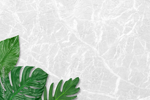  Green fresh monstera leaves, tropical leaves, on gray marble pattern texture background, Flat lay, top view. Tropical plant.