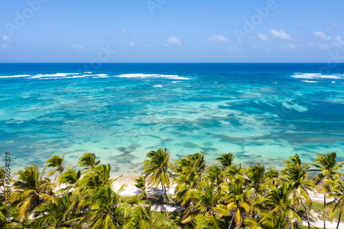 Bounty and prestine tropical shore with coconut palm trees and turquoise caribbean sea. Aerial view from drone