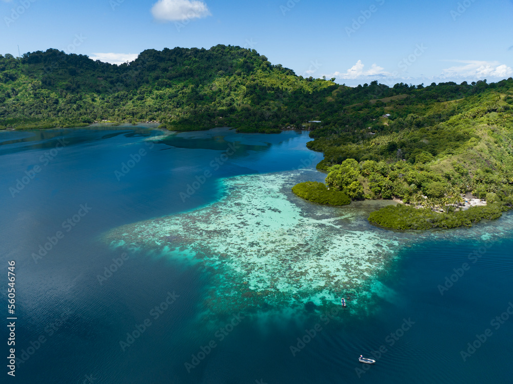 A scenic tropical island is fringed by a healthy coral reef in the Solomon Islands. This beautiful country is home to spectacular marine biodiversity and many historic WWII sites.