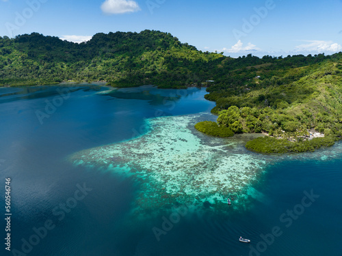 A scenic tropical island is fringed by a healthy coral reef in the Solomon Islands. This beautiful country is home to spectacular marine biodiversity and many historic WWII sites.