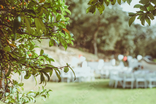 Distant view of a table arrangement at a garden wedding, Spain photo