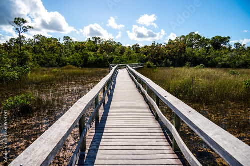 Boardwalk on West Lake in Everglades National Park  Florida recently reopened after extensive repairs following Hurricane Irma damage  at sunrise.