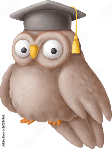 Wise owl character cartoon
