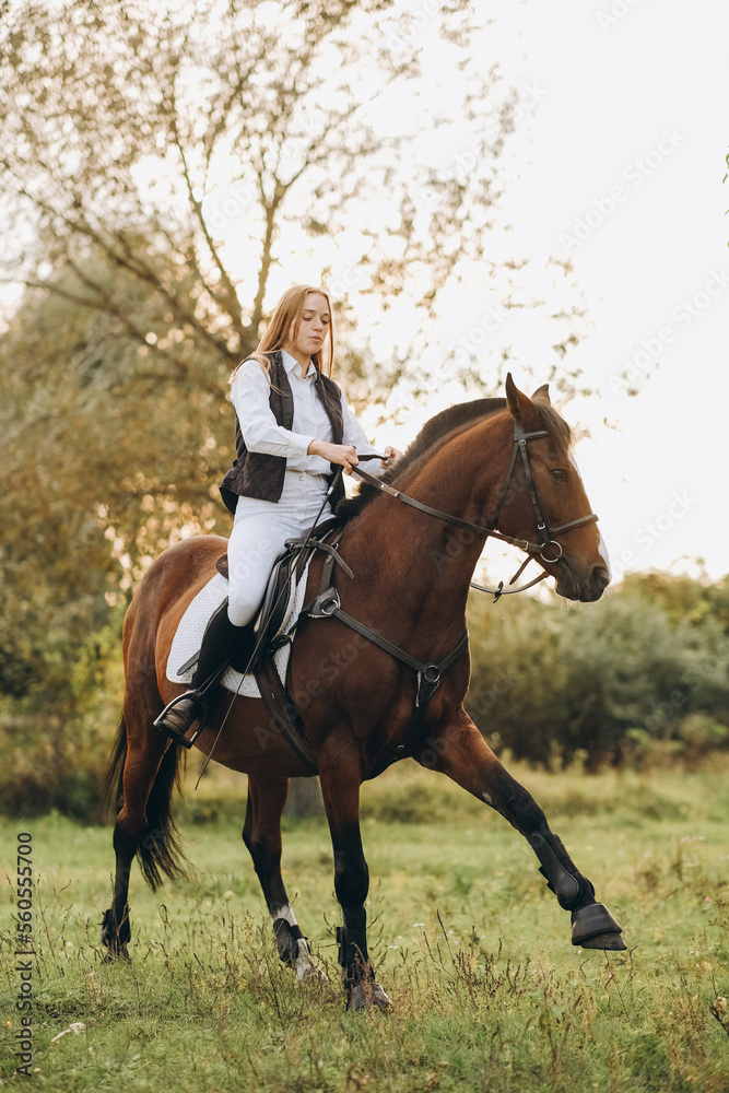A woman jockey trains her horse to follow commands. The horse raises its leg at the command of the rider. A woman jockey trains her horse to follow commands. The horse raises its leg at the command of the rider.