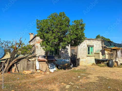 Hut herdsman house yard cat