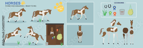 Fototapeta Naklejka Na Ścianę i Meble -  Brown and white Horse ready to animate with multiple poses accessories. Vector file labelled ready to rig. Horse riding, horse jumping, horses playing.	