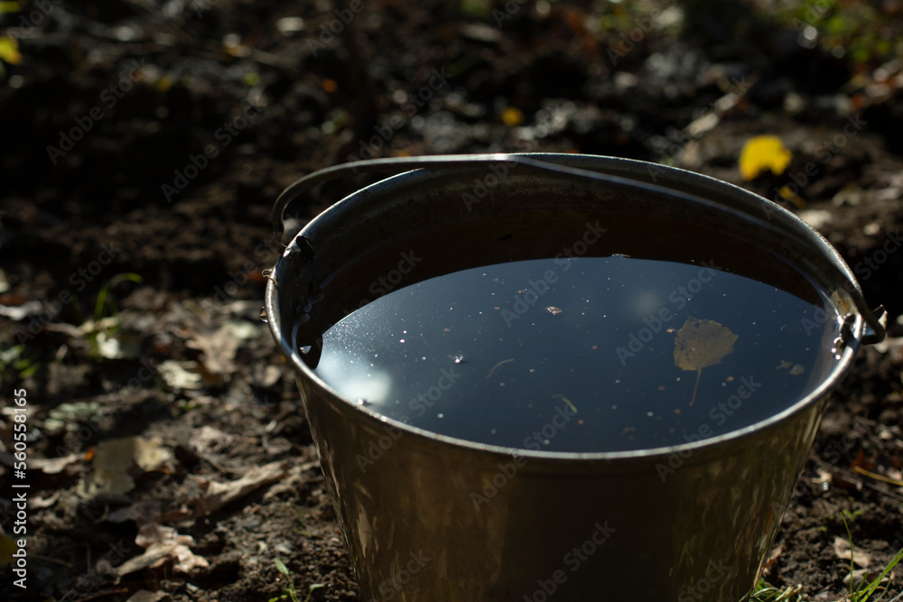 Water in bucket. Bucket in garden. Water for watering plants. Details of rural life. Water in bucket. Bucket in garden. Water for watering plants. Details of rural life.
