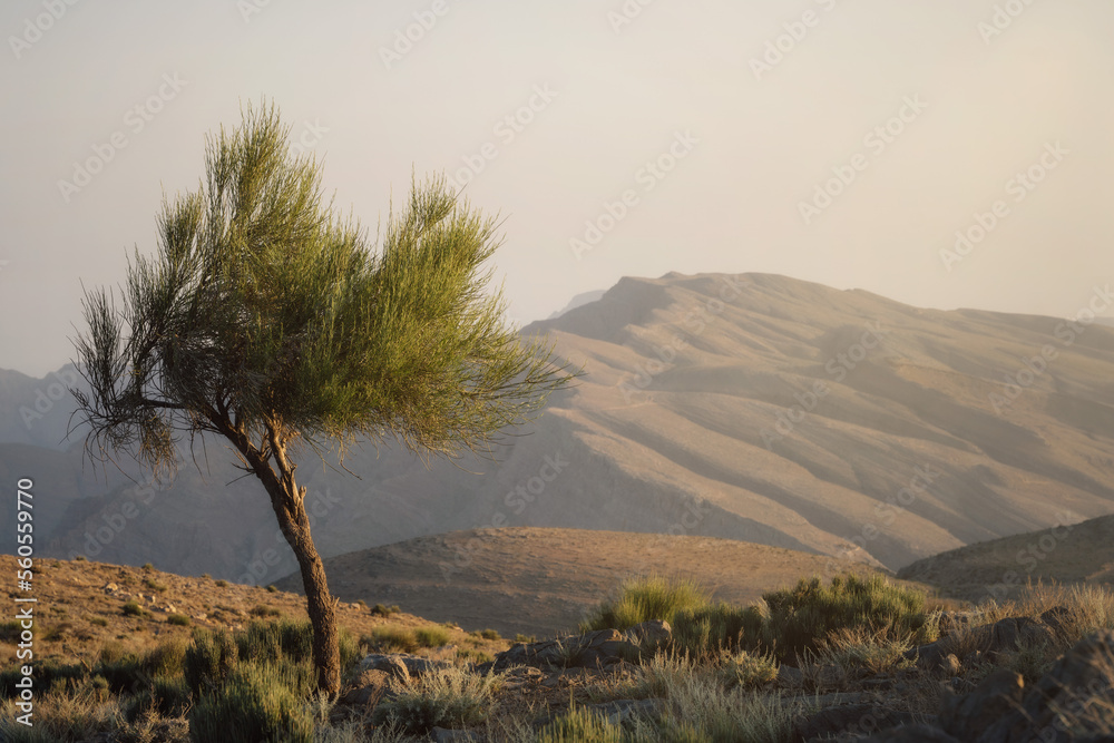 Jebel Jaistaken in UAE Oman border taken in May 2022
