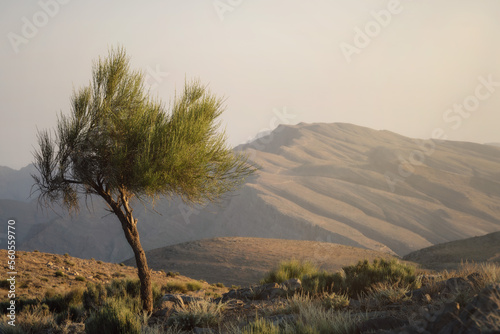 Obraz na płótnie Jebel Jaistaken in UAE Oman border taken in May 2022 w salonie