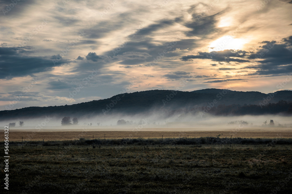 Fototapeta premium A morning mist rises over farmland in Oka Quebec at sunrise