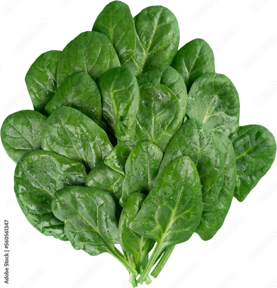 Fresh green spinach. Vegetable salad