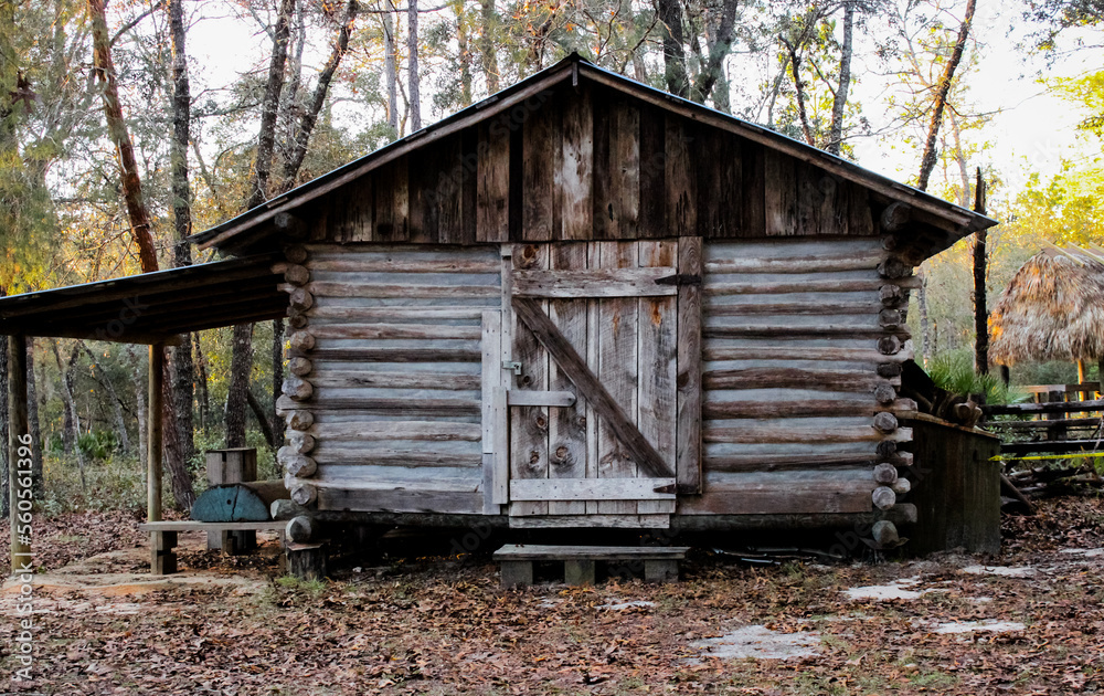 A shed in the woods that is locked A shed in the woods that is locked
