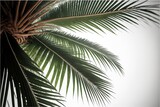 Palm fronds on a white background illustration made with Generative AI