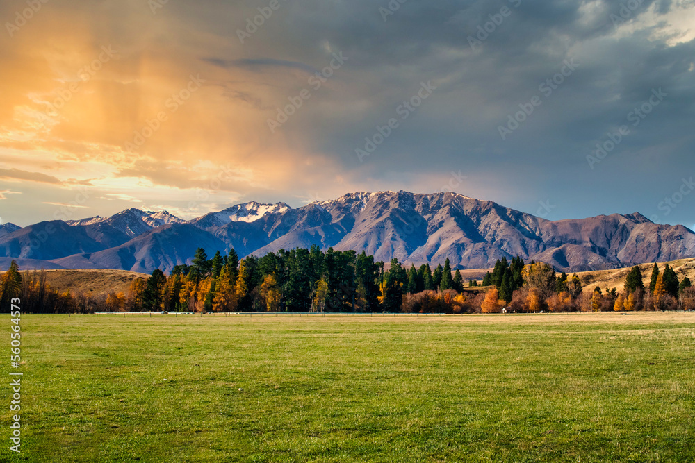 Lush green grazing  fields on the farmland in the valley below the mountains with a light dusting of snow - obrazy, fototapety, plakaty 