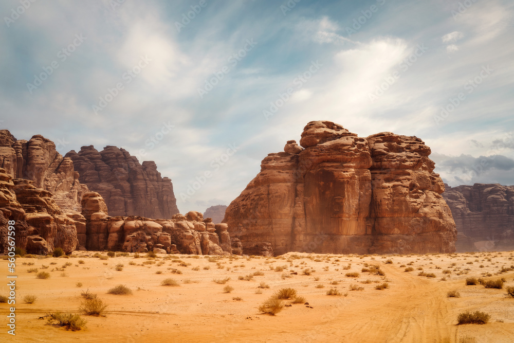 Tree in the middle of the desert taken in May 2022