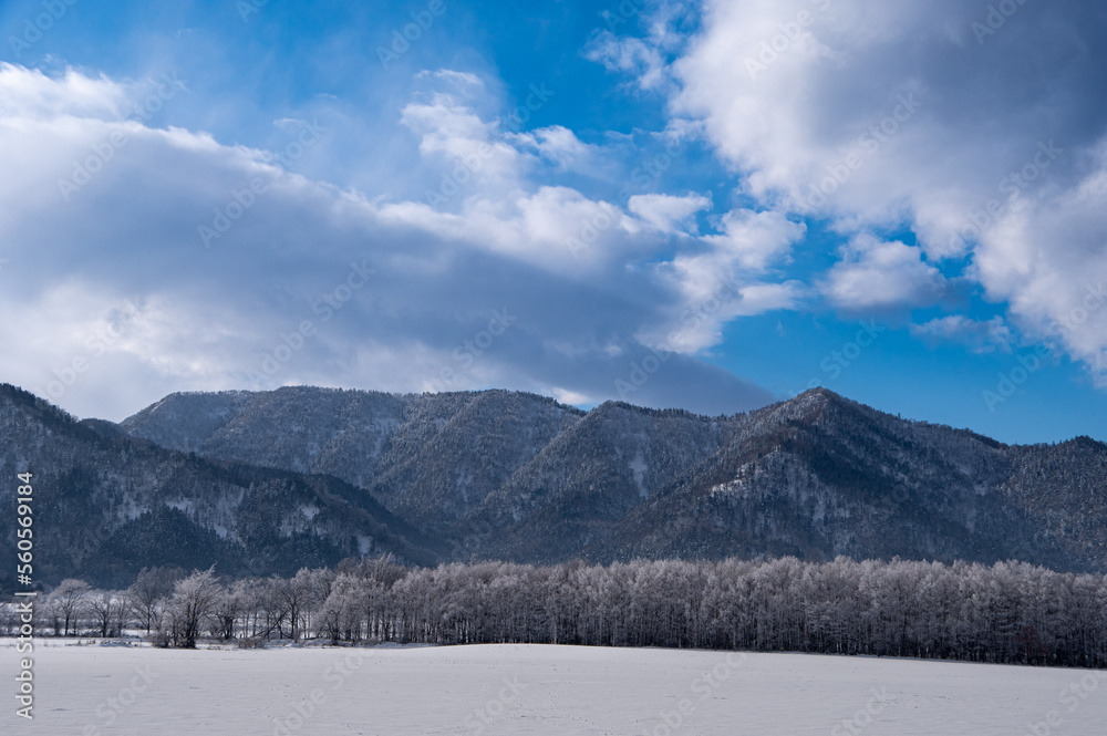 冬の晴れた日の雲の浮かぶ青空、山を背景にした雪に覆われた野と霜で白くなった木々。 冬の晴れた日の雲の浮かぶ青空、山を背景にした雪に覆われた野と霜で白くなった木々。