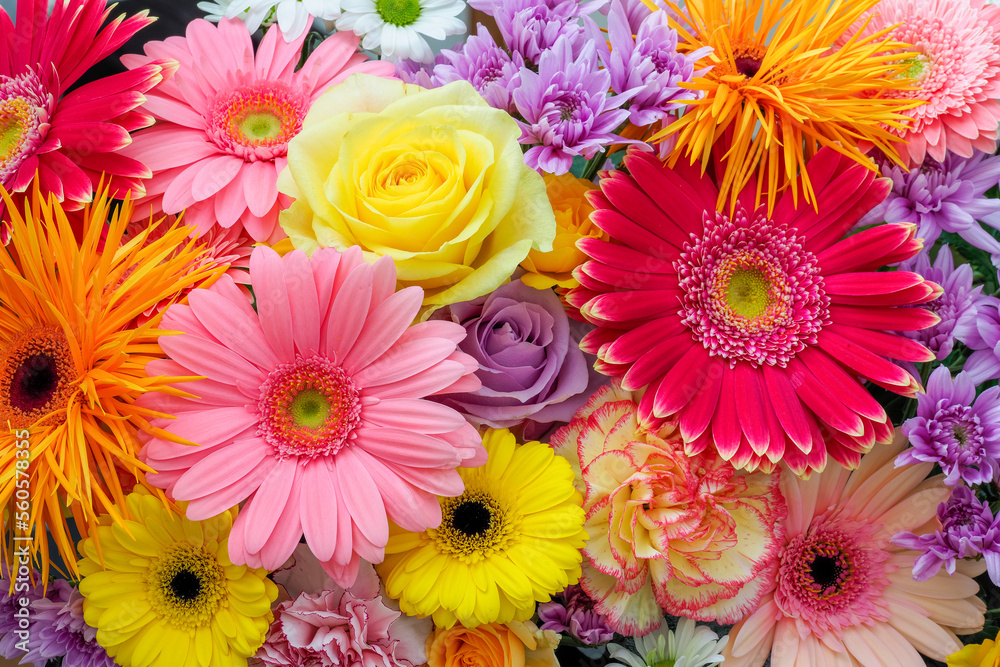 Fototapeta premium 満開の花の贈り物