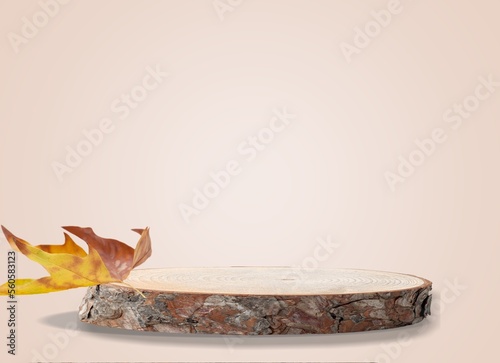 Wooden slice podium and autumn dry leaves