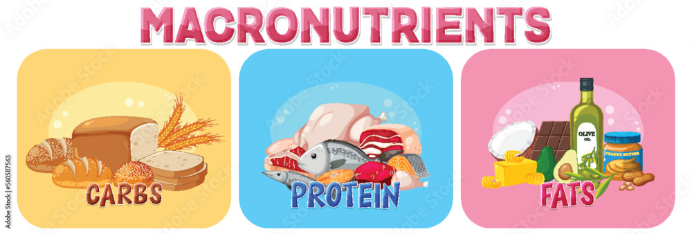 Macronutrients diagram with food ingredients