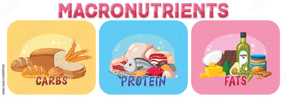 Fototapeta premium Macronutrients diagram with food ingredients