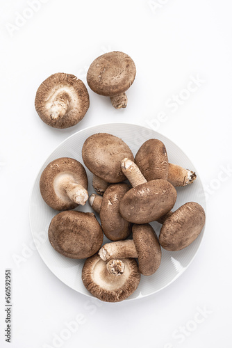 표고버섯