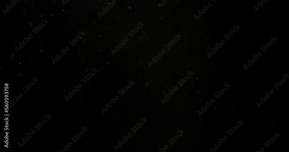 Winter real snowfall effect Snow storm isolated black background in 4K to be used for composing motion graphics background overlay animation 4K drag and drop editing software supporting blending mode Winter real snowfall effect Snow storm isolated black background in 4K to be used for composing motion graphics background overlay animation 4K drag and drop editing software supporting blending mode