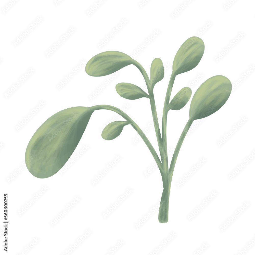 Watercolor green leaves element. Botanical vector isolated on a white background suitable for wedding invitation design, save the date, thanks giving, or greeting card.