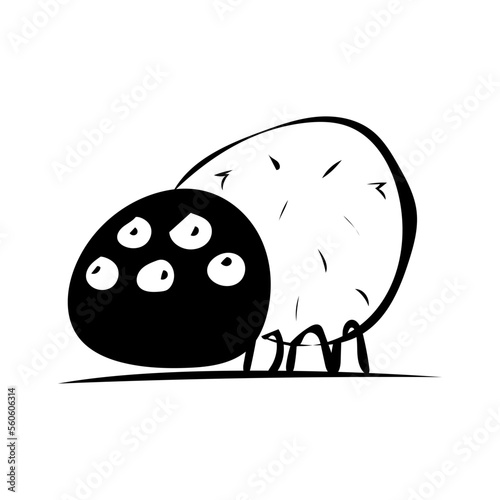 Spinne