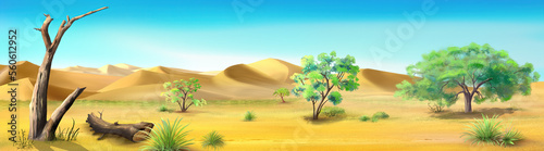 Desert landscape on a hot day illustration