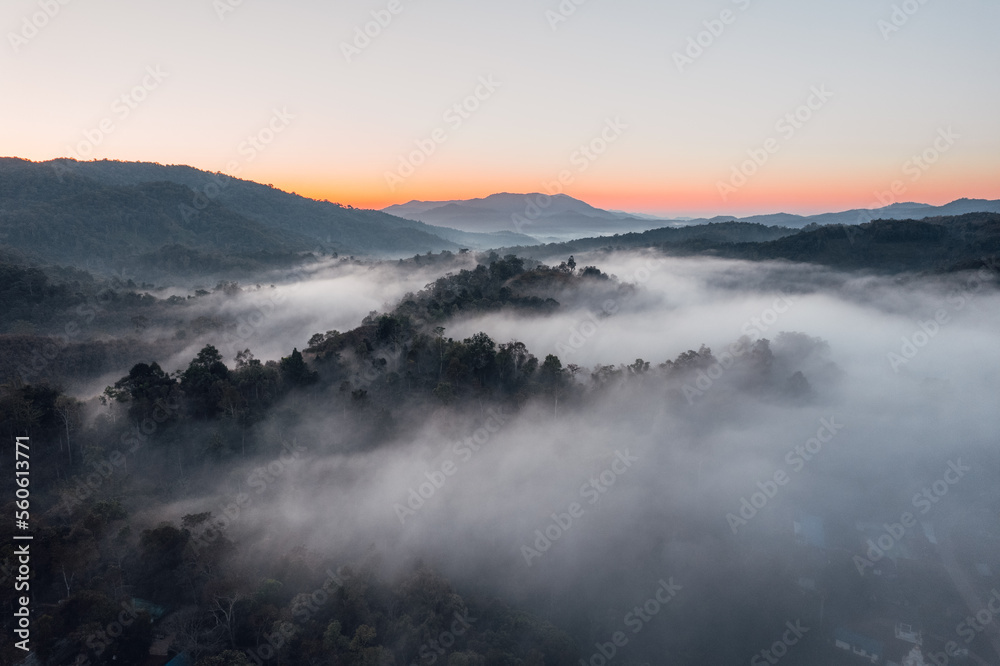 fog and morning light
