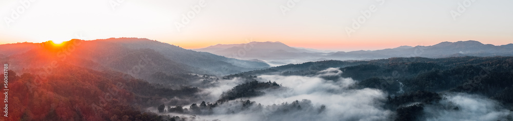 fog and morning light