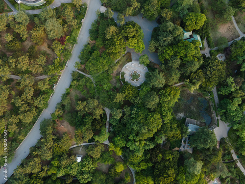 Aerial photo of the forest in the park