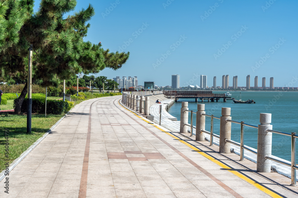 Qingdao City Coastline Street View