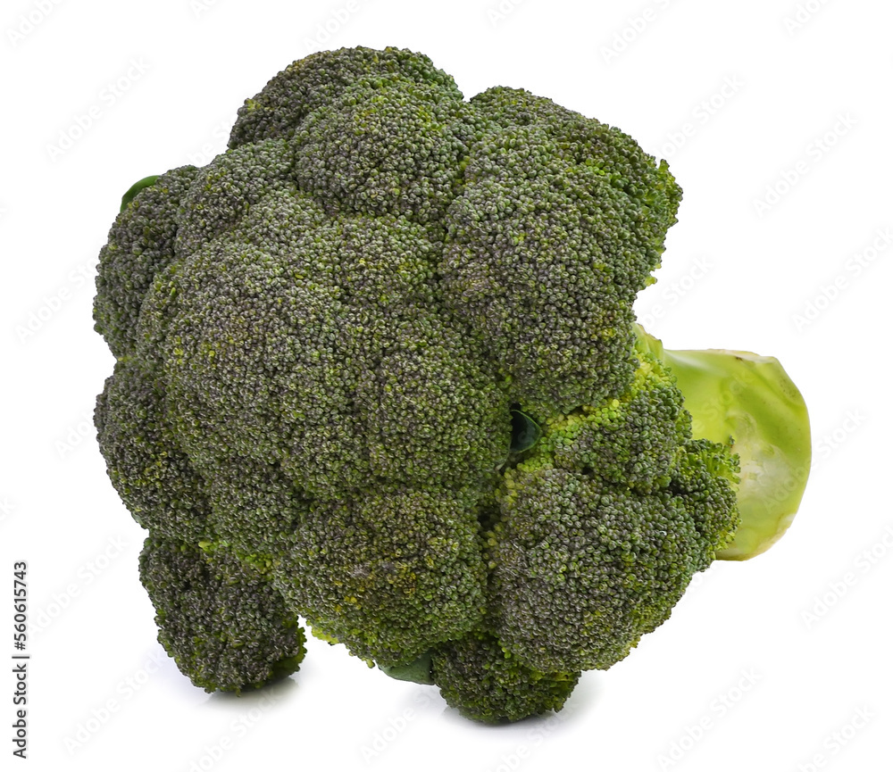 broccoli isolated on white background broccoli isolated on white background