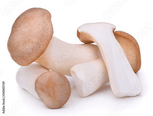 Mushroom royal isolated on white background