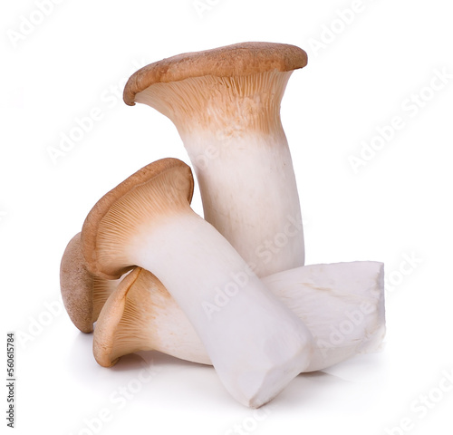 Mushroom royal isolated on white background