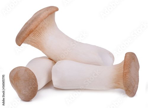 Mushroom royal isolated on white background