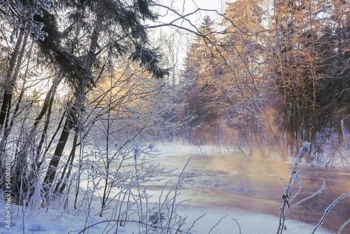 Winter frosty landscape in a forest area near a flowing river.