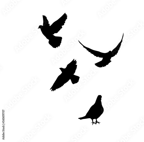 Flying black doves. Vector illustration