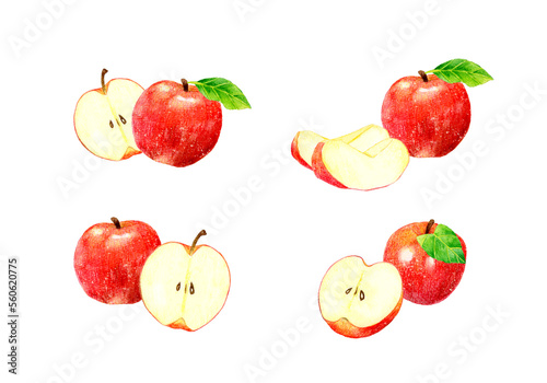 Fototapeta Naklejka Na Ścianę i Meble -  赤いりんごのセット　フルーツの手描き水彩イラスト素材集