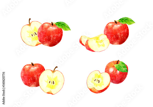Fototapeta Naklejka Na Ścianę i Meble -  赤い蜜入りりんごのセット　フルーツの手描き水彩イラスト素材集