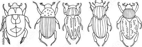 Beetles doodle icons set. Collection of sketches of different beetles. Hand drawn vector illustration. traced image.
