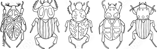 Beetles doodle icons set. Collection of sketches of different beetles. Hand drawn vector illustration. traced image.
