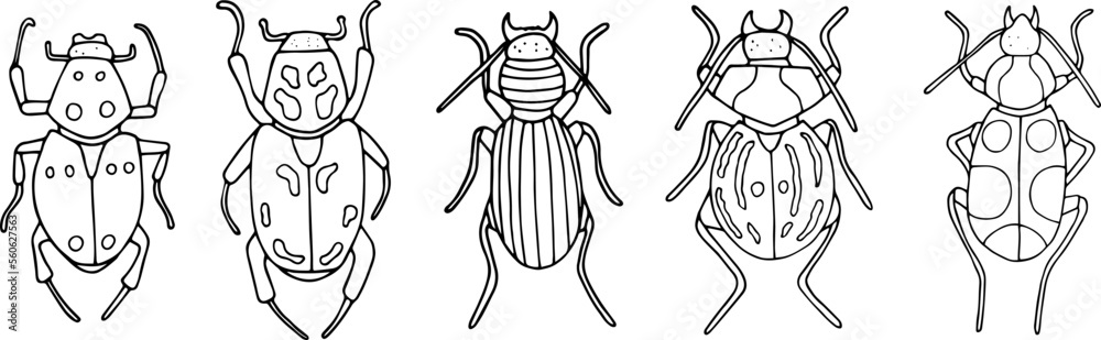 Beetles doodle icons set. Collection of sketches of different beetles. Hand drawn vector illustration. traced image.
Beetles doodle icons set. Collection of sketches of different beetles. Hand drawn vector illustration. traced image.