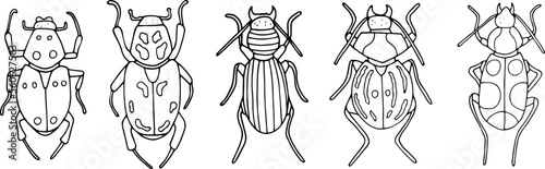 Beetles doodle icons set. Collection of sketches of different beetles. Hand drawn vector illustration. traced image.
