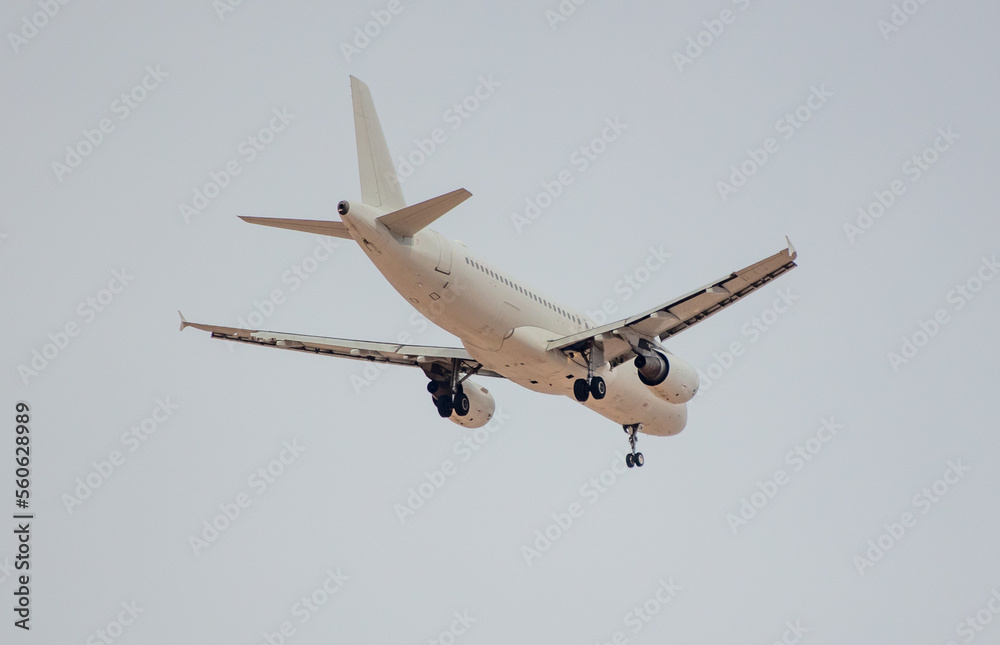 Fototapeta premium Passenger plane in flight in the sky.
